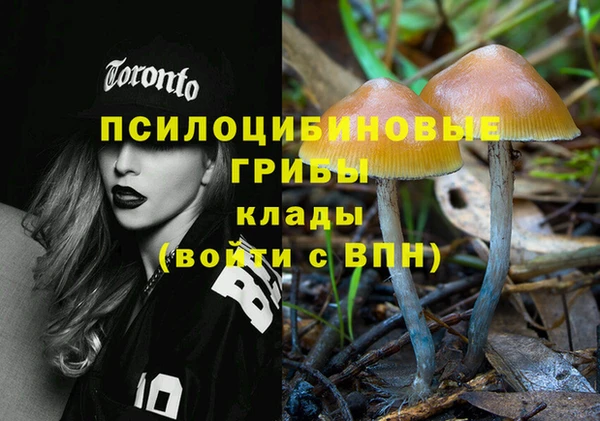 тгк Алексин