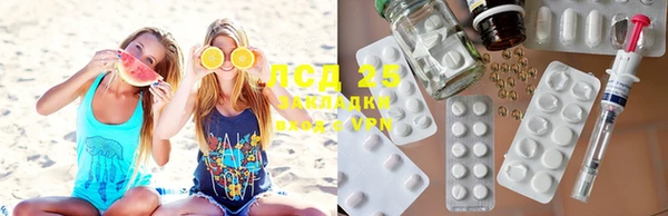 ГАЛЛЮЦИНОГЕННЫЕ ГРИБЫ Алексеевка
