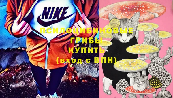ГАЛЛЮЦИНОГЕННЫЕ ГРИБЫ Алексеевка