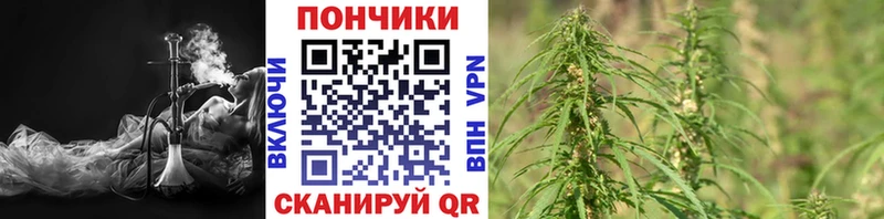 площадка состав  Шумерля  Шишки марихуана VHQ 